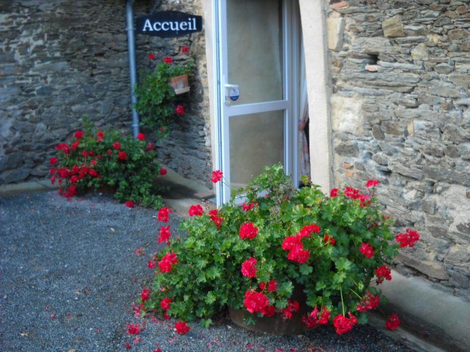 Domaine De La Cour Bed & Breakfast Sainte-Gemme-dʼAndigné Bagian luar foto
